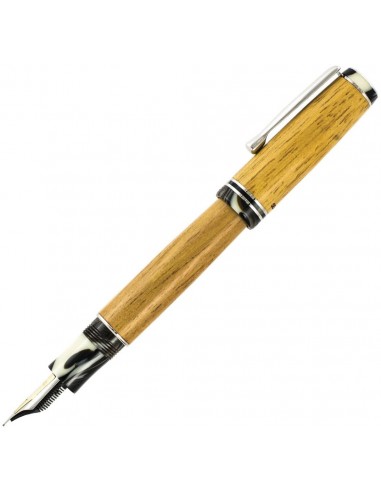 Delta Light Sea Wood Wooden Collection Fountain Pen 18k Fine Nib en ligne des produits 