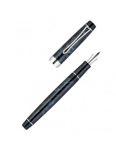 Pilot Custom Heritage SE Fountain Pen Marble Black meilleur choix