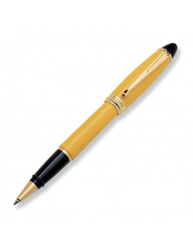 Aurora Ipsilon Resin Yellow Rollerball Pen le concept de la Pate a emporter 