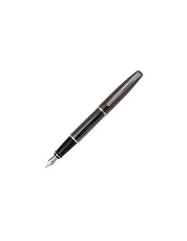 Aurora Pens Style Shiny Gun Metal E13 Fountain Pen votre