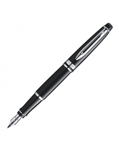 Waterman Expert Black CT Fountain Pen Les êtres humains sont 