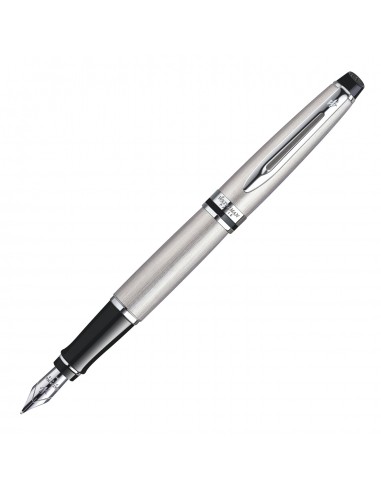 Waterman Expert Stainless Steel CT Fountain Pen Fine S0952040 de votre