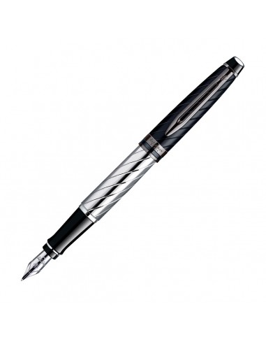 Waterman Expert Precious CT Fountain Pen Le MVP de beaucoup