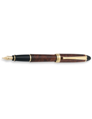 Aurora Turtle Lacquer Fountain Pen de la marque