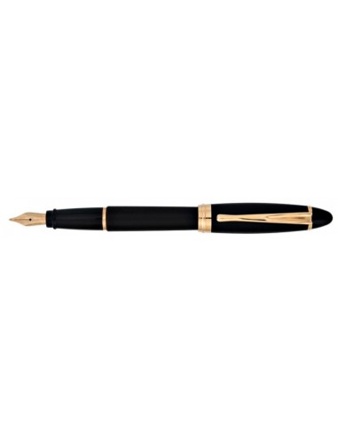 Aurora Black Fountain Pen Rose Gold Trim vente chaude votre 