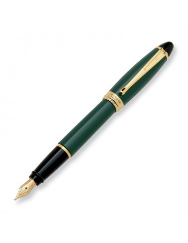 Aurora Ipsilon Resin Green Fountain Pen vente chaude votre 