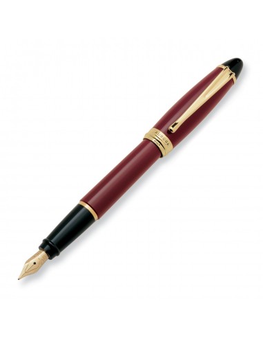 Aurora Ipsilon Resin Bordeaux Fountain Pen 2024