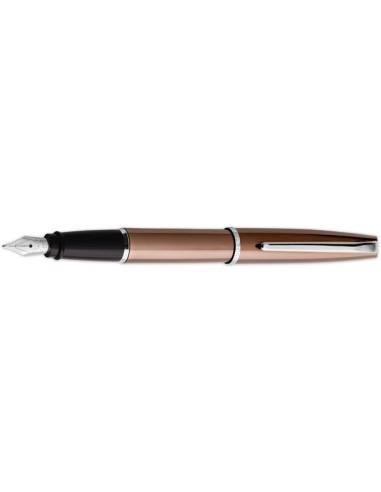 Aurora Style Bronze PVD Fountain Pen les muscles