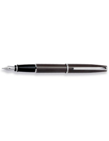 Aurora Style Shiny Gun Metal Barrel and Cap Fountain Pen Découvrez la collection