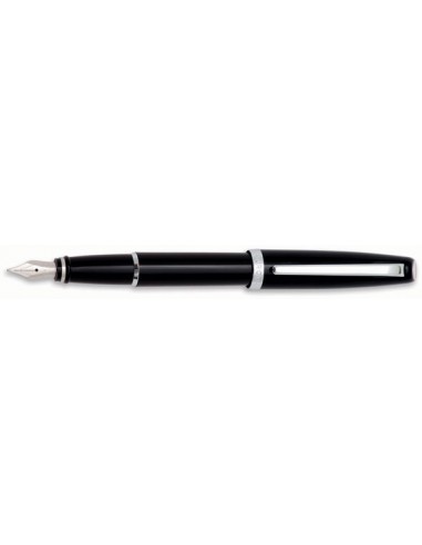 Aurora Style Black Pepper Fountain Pen le des métaux précieux