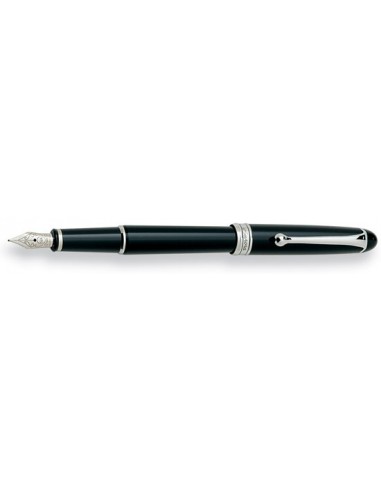 Aurora Small w/ Nikargenta Trim Fountain Pen Vous souhaitez 